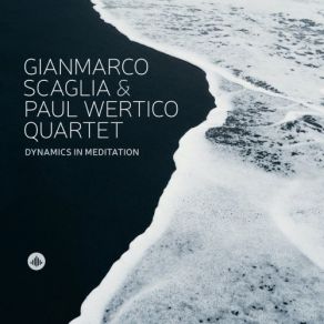 Download track Dynamics In Meditation B Gianmarco Scaglia, Paul Wertico Quartet