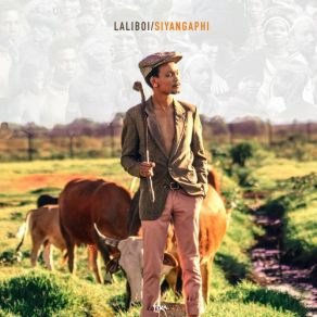 Download track Siyangaphi' Laliboi