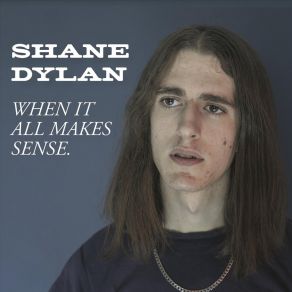 Download track Insanity Shane Dylan