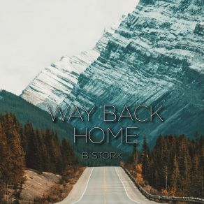 Download track Way Back Home (Radio Mix) B-Stork