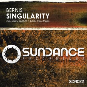 Download track Singularity (Original Mix) Bernis