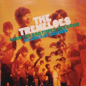 Download track Too Many Fish In The Sea The Tremeloes