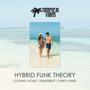 Download track Heartbeat (Original Mix) Hybrid Funk Theory