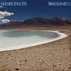 Download track Salitre Sinai Camels