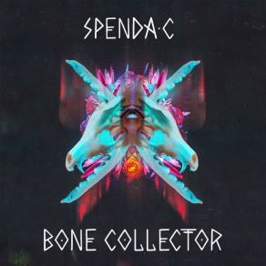 Download track Playing With Fire Spenda C