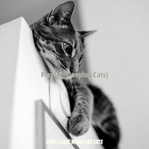 Download track Energetic (Sleeping Cats) First Class Music For Cats