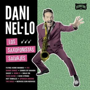 Download track Flying Home Dani Nel·lo