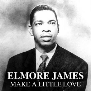 Download track Dumb Woman Blues Elmore James