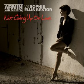 Download track Not Giving Up On Love (Extended Version) Armin Van Buuren, Sophie Ellis - Bextor