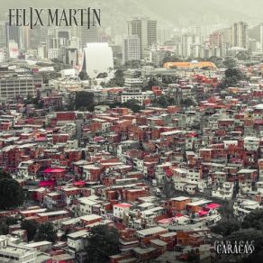 Download track Apure En Un Viaje Felix Martin