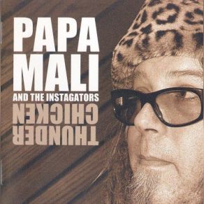 Download track All Right You Got It Papa Mali, The Instagators