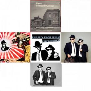 Download track She Caught The Katy The Original Brothers Band, Blues Brother Experience