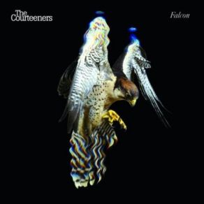 Download track Cameo Brooch The Courteeners