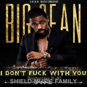 Download track I Don't Fuck With You Big Sean, E - 40