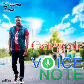 Download track Voicenote Ganggoolie