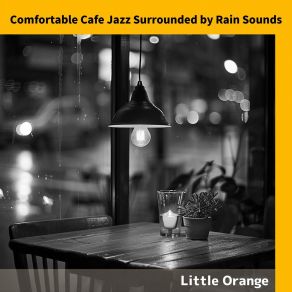 Download track Solace In The Sound Of Droplets Little Orange