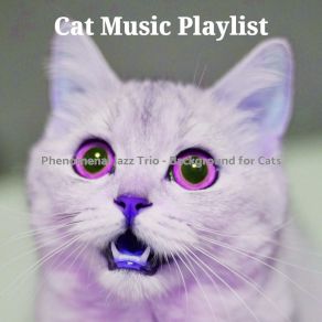 Download track Trio Jazz Soundtrack For Training Your Cat Cat Music Playlist