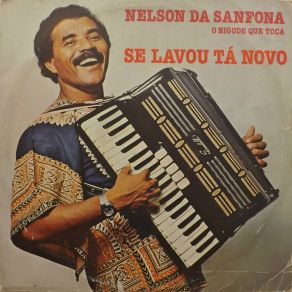 Download track Molhado De Suor Nelson Da Sanfona