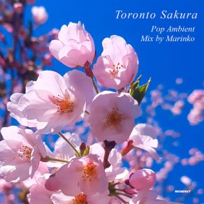 Download track Toronto Sakura (Pop Ambient Mix) Marinko