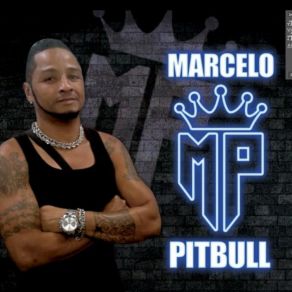 Download track Não Tou Mas A Pé MARCELO PITBULL