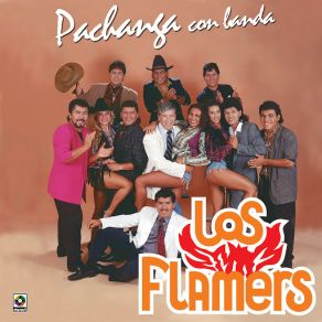 Download track Hay Una Chica En Mi Camino Los Flamers