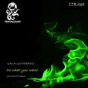 Download track Do What You Want (Original Mix) Gala Gutierrez