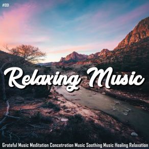 Download track Minimizing The Chronic Stress Of Daily Life Relax My Dog Music