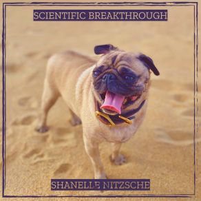 Download track Starscape Shanelle Nitzsche