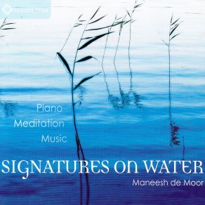 Download track Galaxies Within Maneesh De Moor