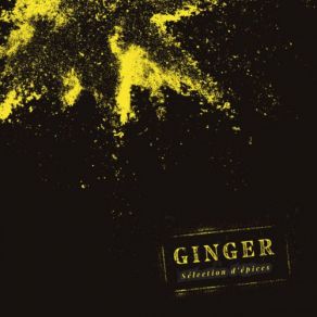 Download track Lueurs Sélènes Ginger