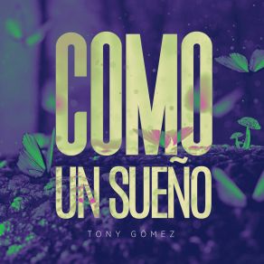 Download track Mi Amigo De Siempre Tony Gomez