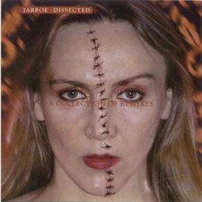 Download track Gun (Mosquito) Jarboe