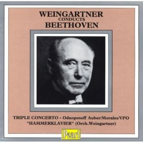 Download track 5. Sonata No. 29 In B Flat Major Op. 106 «Hammerklavier» Transcribed For Orchestra By Weingartner: 1. Scherzo - Assai Vivace Ludwig Van Beethoven