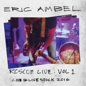 Download track Dont Make Me Break You Down Eric Ambel