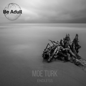 Download track Endless (Dub Mix) Moe Turk