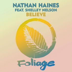 Download track Believe (The Layabouts Vocal Mix) Nathan Haines