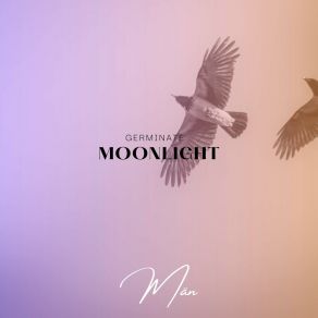 Download track Germinate Moonlight The Man