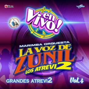 Download track Zuni-Mix De Merengue # 11: Oh Darling / Salvaje (En Vivo) Marimba Orquesta La Voz De Zunil