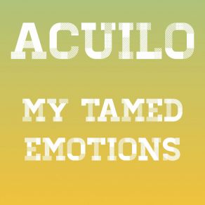 Download track Dream About Travelling Acuilo