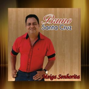 Download track Por Você Eu Faço Tudo Bruno Santa Cruz