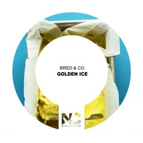 Download track Golden Ice (Nu Ground Foundation US Garage Cut) Bred