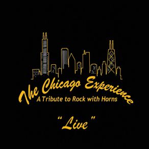 Download track Does Anybody Really Know What Time It Is? (Live) The Chicago Experience