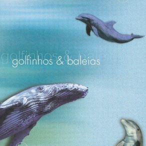 Download track Danca Dos Golfinhos Keco Bandao