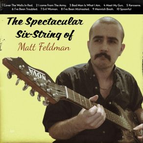 Download track I Come From The Army Matthew Stanley Feldman