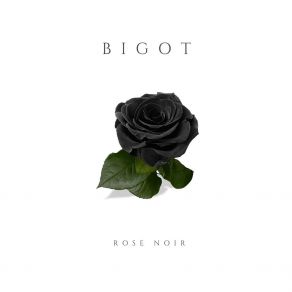 Download track J'entend Ta Voix Bigot