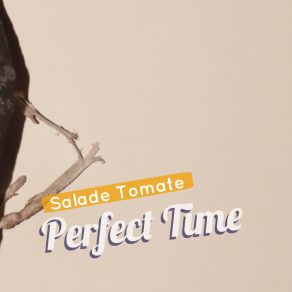 Download track Perfect Time (Original Mix) Salade Tomate