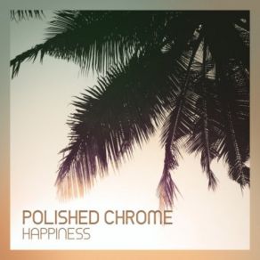 Download track Finally Arrived Polished Chrome