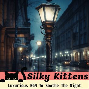 Download track Moonlit Serenity In Velvet Silky Kittens