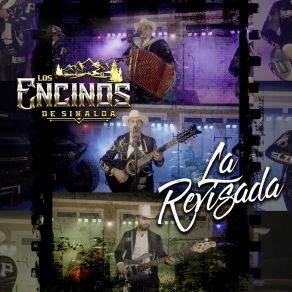 Download track Cuando Un Amor Los Encinos De Sinaloa