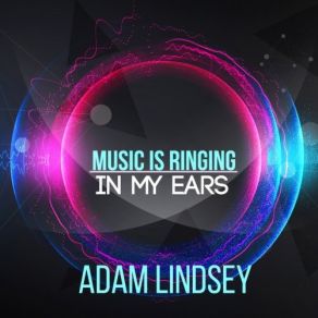 Download track Disco Lady (Original Mix) Adam Lindsey